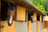 free Winterbourne Gunner stable construction quotes